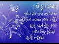 12 חוקי היקום – חלק שני