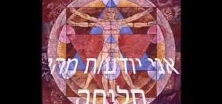 כוחן של מילים